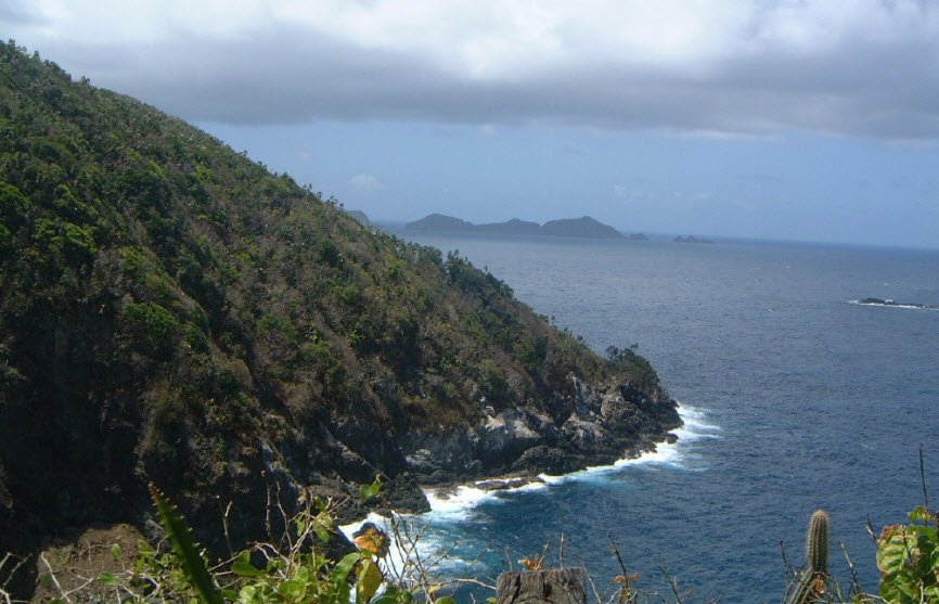 Little Tobago Island (Bird of Paradise Island), Off Northeast Tobago, Trinidad and Tobago